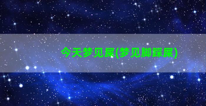 今天梦见屎(梦见脚踩屎)