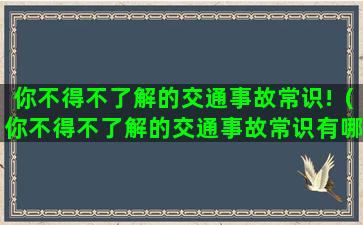 你不得不了解的交通事故常识!（你不得不了解的交通事故常识有哪些）