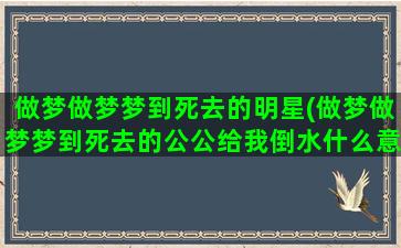 做梦做梦梦到死去的明星(做梦做梦梦到死去的公公给我倒水什么意思)