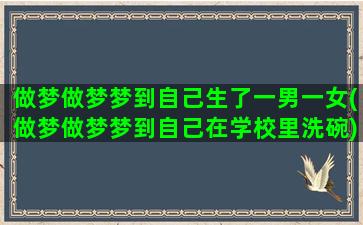 做梦做梦梦到自己生了一男一女(做梦做梦梦到自己在学校里洗碗)