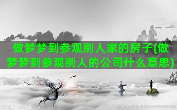 做梦梦到参观别人家的房子(做梦梦到参观别人的公司什么意思)