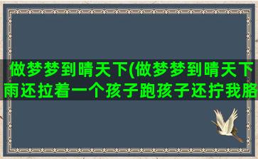 做梦梦到晴天下(做梦梦到晴天下雨还拉着一个孩子跑孩子还拧我胳膊)