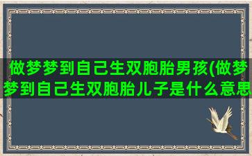 做梦梦到自己生双胞胎男孩(做梦梦到自己生双胞胎儿子是什么意思)