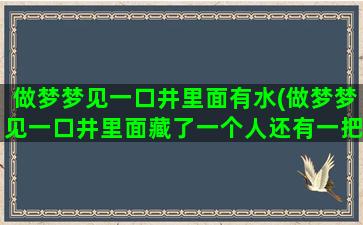 做梦梦见一口井里面有水(做梦梦见一口井里面藏了一个人还有一把剑)