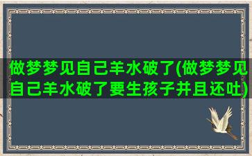 做梦梦见自己羊水破了(做梦梦见自己羊水破了要生孩子并且还吐)