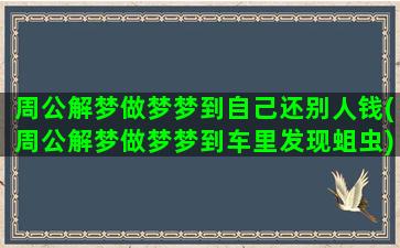 周公解梦做梦梦到自己还别人钱(周公解梦做梦梦到车里发现蛆虫)