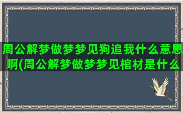 周公解梦做梦梦见狗追我什么意思啊(周公解梦做梦梦见棺材是什么意思)