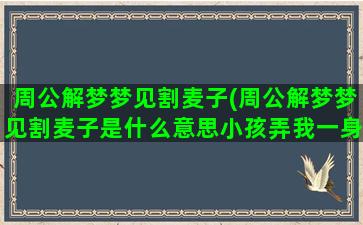 周公解梦梦见割麦子(周公解梦梦见割麦子是什么意思小孩弄我一身屎)