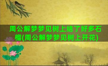 周公解梦梦见树上结了好多石榴(周公解梦梦见树上开花)