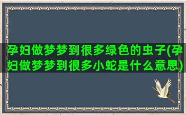 孕妇做梦梦到很多绿色的虫子(孕妇做梦梦到很多小蛇是什么意思)