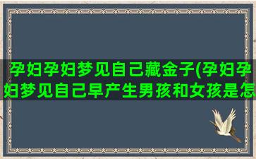 孕妇孕妇梦见自己藏金子(孕妇孕妇梦见自己早产生男孩和女孩是怎么回事)