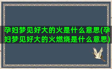 孕妇梦见好大的火是什么意思(孕妇梦见好大的火燃烧是什么意思)