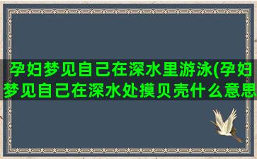 孕妇梦见自己在深水里游泳(孕妇梦见自己在深水处摸贝壳什么意思)