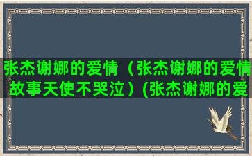 张杰谢娜的爱情（张杰谢娜的爱情故事天使不哭泣）(张杰谢娜的爱情谁是卧底)