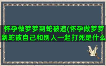 怀孕做梦梦到蛇被追(怀孕做梦梦到蛇被自己和别人一起打死是什么意思)