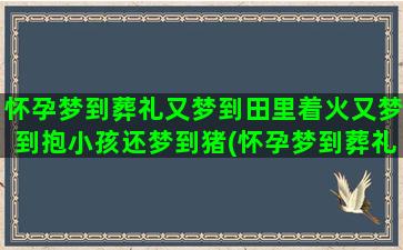 怀孕梦到葬礼又梦到田里着火又梦到抱小孩还梦到猪(怀孕梦到葬礼现场景象)