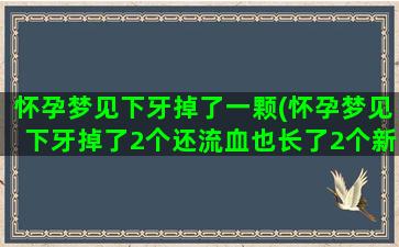 怀孕梦见下牙掉了一颗(怀孕梦见下牙掉了2个还流血也长了2个新的)