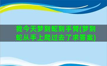 我今天梦到蛇到手臂(梦到蛇从手上爬过去了求答案)