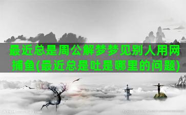 最近总是周公解梦梦见别人用网捕鱼(最近总是吐是哪里的问题)