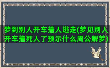 梦到别人开车撞人逃走(梦见别人开车撞死人了预示什么周公解梦)