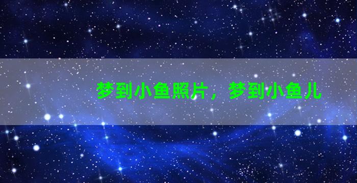 梦到小鱼照片，梦到小鱼儿