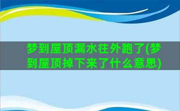 梦到屋顶漏水往外跑了(梦到屋顶掉下来了什么意思)