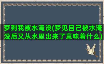 梦到我被水淹没(梦见自己被水淹没后又从水里出来了意味着什么)