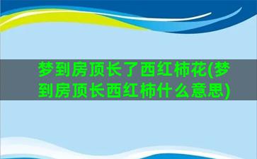 梦到房顶长了西红柿花(梦到房顶长西红柿什么意思)