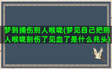 梦到捅伤别人喉咙(梦见自己把别人喉咙割伤了见血了是什么兆头)