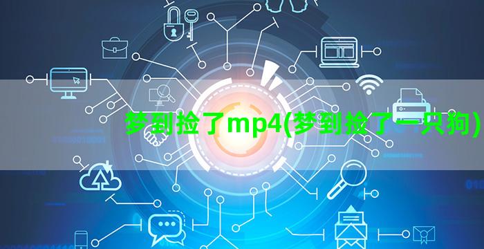 梦到捡了mp4(梦到捡了一只狗)