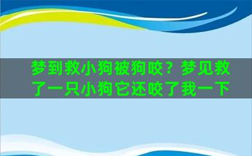 梦到救小狗被狗咬？梦见救了一只小狗它还咬了我一下