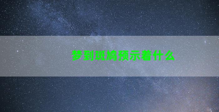 梦到斑鸠预示着什么