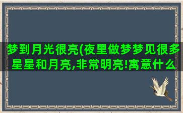 梦到月光很亮(夜里做梦梦见很多星星和月亮,非常明亮!寓意什么)