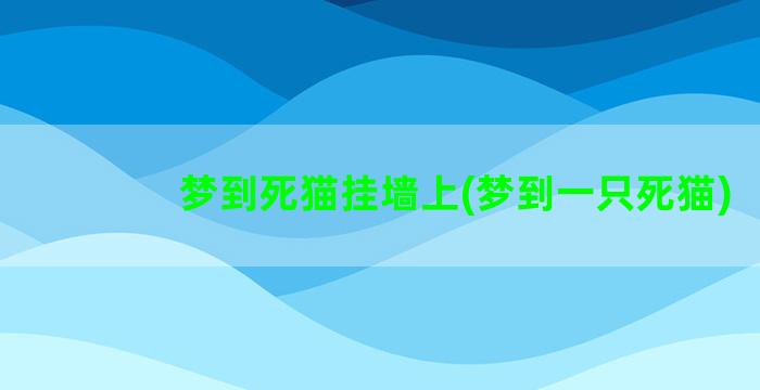 梦到死猫挂墙上(梦到一只死猫)