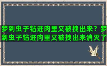 梦到虫子钻进肉里又被拽出来？梦到虫子钻进肉里又被拽出来消灭了