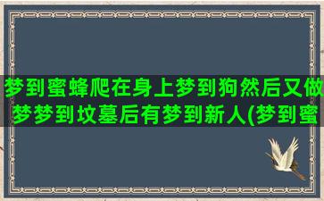 梦到蜜蜂爬在身上梦到狗然后又做梦梦到坟墓后有梦到新人(梦到蜜蜂爬在身上什么预兆)