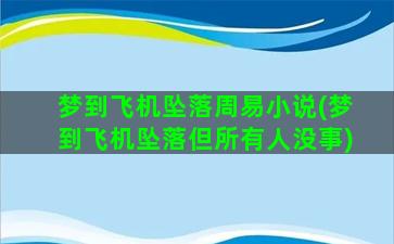 梦到飞机坠落周易小说(梦到飞机坠落但所有人没事)