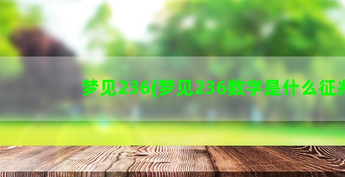 梦见236(梦见236数字是什么征兆)