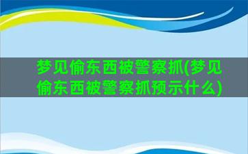 梦见偷东西被警察抓(梦见偷东西被警察抓预示什么)