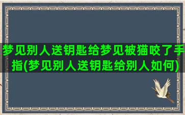 梦见别人送钥匙给梦见被猫咬了手指(梦见别人送钥匙给别人如何)