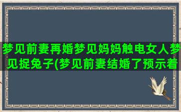 梦见前妻再婚梦见妈妈触电女人梦见捉兔子(梦见前妻结婚了预示着什么)