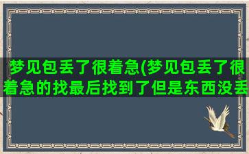 梦见包丢了很着急(梦见包丢了很着急的找最后找到了但是东西没丢)