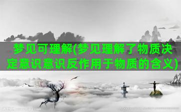 梦见可理解(梦见理解了物质决定意识意识反作用于物质的含义)