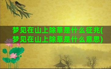 梦见在山上除草是什么征兆(梦见在山上除草是什么意思)