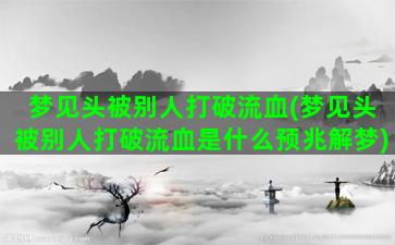 梦见头被别人打破流血(梦见头被别人打破流血是什么预兆解梦)