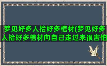 梦见好多人抬好多棺材(梦见好多人抬好多棺材向自己走过来很害怕)