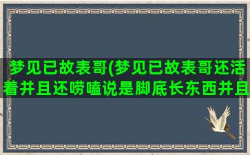 梦见已故表哥(梦见已故表哥还活着并且还唠嗑说是脚底长东西并且开花)