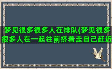 梦见很多很多人在排队(梦见很多很多人在一起往前挤着走自己赶近路很快)