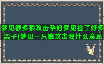 梦见很多狼攻击孕妇梦见捡了好多栗子(梦见一只狼攻击我什么意思)