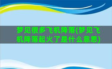 梦见很多飞机降落(梦见飞机降落起火了是什么意思)